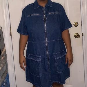 Pretty Little Thing Zip Up Denim Dress